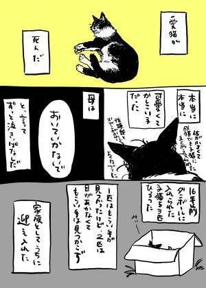 家で度々起こっていた『不思議な出来事』　愛猫が亡くなった後の夜…？