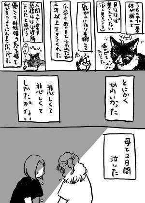 家で度々起こっていた『不思議な出来事』　愛猫が亡くなった後の夜…？