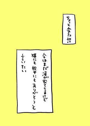 家で度々起こっていた『不思議な出来事』　愛猫が亡くなった後の夜…？