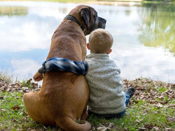 行方不明になった自閉症の男の子　寄り添っていた『ボディガード』にニッコリ