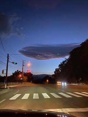 『空飛ぶクジラ』は実在した！？　証拠写真がコチラです
