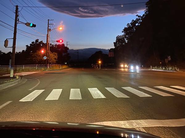 『空飛ぶクジラ』は実在した！？　証拠写真がコチラです