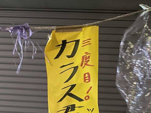 ツバメを守りたい青果店　１枚の『貼り紙』に、通行人もニッコリ