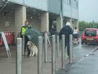雨の中、飼い主を待ち続ける犬　すると、近くにいた警備員が？