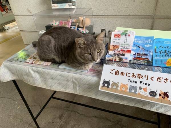 雨宿りにやってきた客　横暴なふるまいをするも、なぜか擁護の声が殺到！