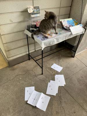 雨宿りにやってきた客　横暴なふるまいをするも、なぜか擁護の声が殺到！