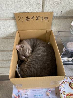 雨宿りにやってきた客　横暴なふるまいをするも、なぜか擁護の声が殺到！