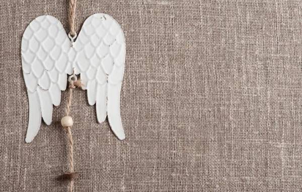 愛するとは？信じるとは？　犬は無償の愛を教えてくれる