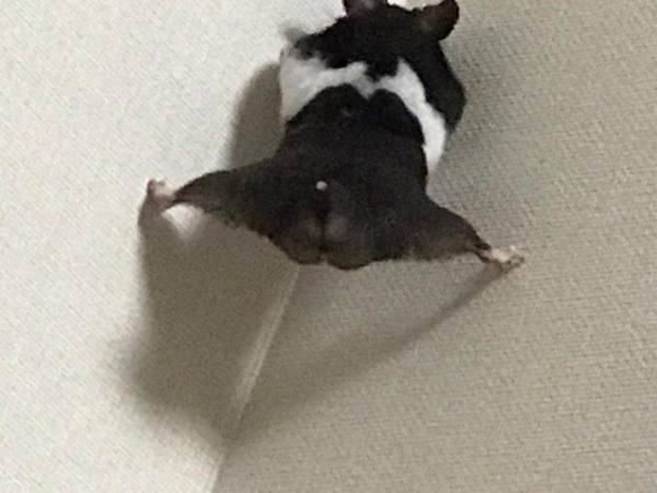 「えっ…！？」　ふと部屋の隅を見ると、驚くべき光景が！