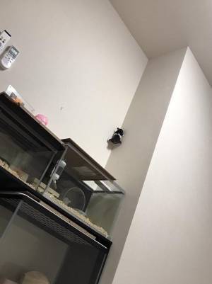 「えっ…！？」　ふと部屋の隅を見ると、驚くべき光景が！