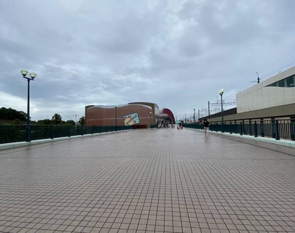 「え、なにこの線…」　感染症対策をしたディズニーに行くと『ある変化』が…