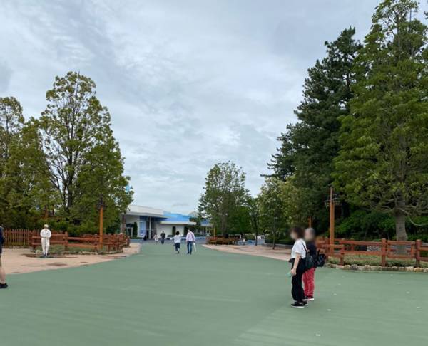 「え、なにこの線…」　感染症対策をしたディズニーに行くと『ある変化』が…