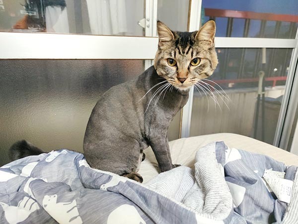 「今年も別人になってしまった」　毎年笑ってしまう、違和感しかない姿がコチラ！