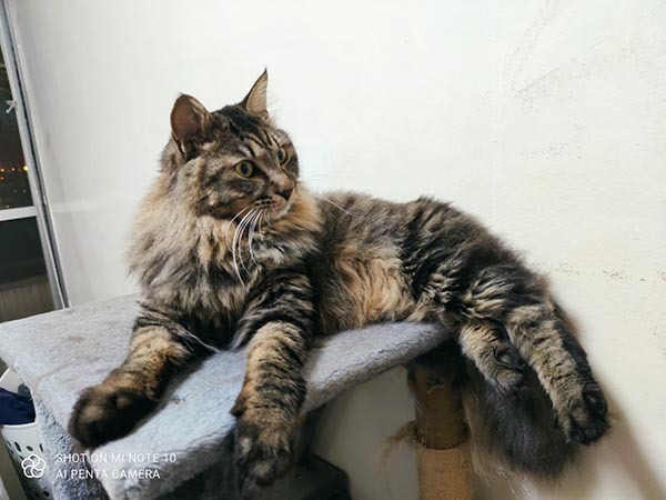 「今年も別人になってしまった」　毎年笑ってしまう、違和感しかない姿がコチラ！