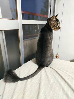 「今年も別人になってしまった」　毎年笑ってしまう、違和感しかない姿がコチラ！