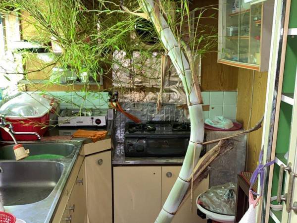 １か月ぶりに訪れた祖父母の家　キッチンで、目を疑う光景に…