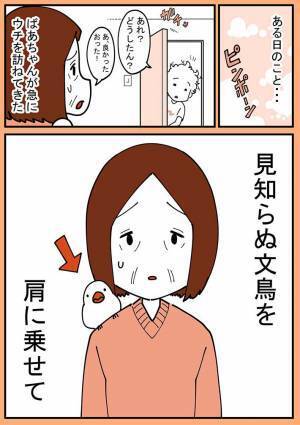 屋外で作業をしていた祖母　すると突然、肩に見知らぬ文鳥が乗ってきて？
