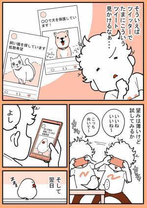 屋外で作業をしていた祖母　すると突然、肩に見知らぬ文鳥が乗ってきて？