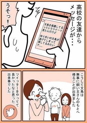 屋外で作業をしていた祖母　すると突然、肩に見知らぬ文鳥が乗ってきて？