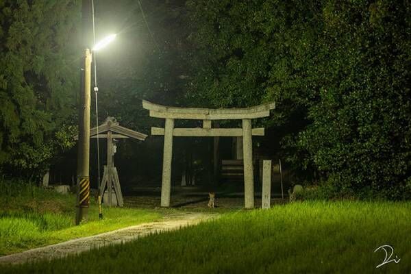 夜中２時ごろに撮影した神社　よく見ると『黒い影』が写り込んでおり…