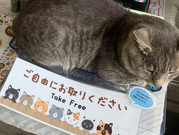 『ご自由にお取りください』　そう書かれたボックスに入っていたのは…