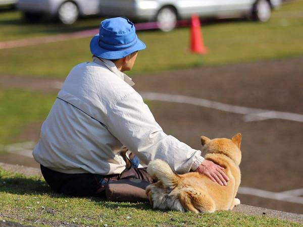 柴犬を亡くして元気のない近所のおじさん　続く展開に「涙が出た」「めっちゃ分かる」