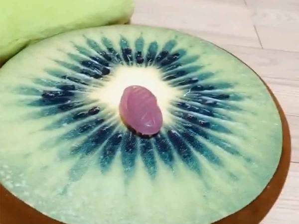 「ああ、そこそこ！」かわいいチンチラのブラッシング動画のコメント欄がまさかの大喜利大会に！