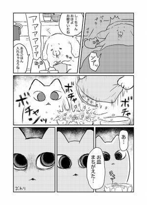 「は…？」飼い主へ不信感が爆発　お猫様の表情がヤバすぎる