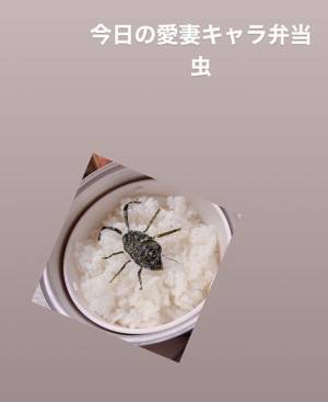 嫌がらせのため虫弁当を手作りした妻　お昼、夫から電話がかかってきて？