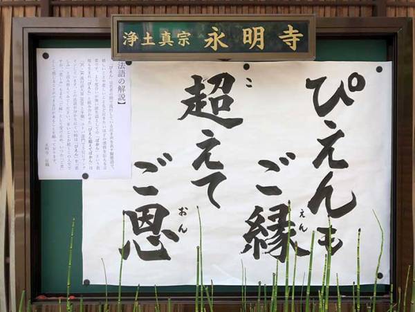 「地味につらいヤツ！」「笑った」　住職が渾身の『法語』を掲示板に貼ったら？