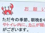 『江ノ電』で目にした最高の貼り紙に反響　「素晴らしい駅員」「守らざるを得ない…！」