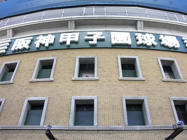 熱闘甲子園再び　今年の夏も高校球児の『聖地』で野球を