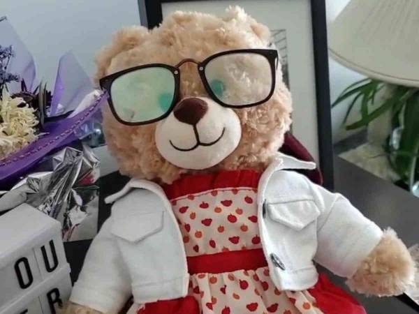 亡き母親の形見のぬいぐるみを盗まれた女性　有名人も捜索に協力した結果…