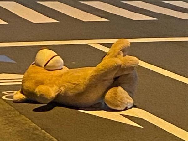 「ぬいぐるみを拾った」という夫からのLINE　妻が迎えに行くと…　「笑った」「素敵な話」