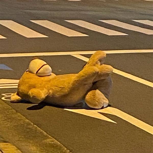 「ぬいぐるみを拾った」という夫からのLINE　妻が迎えに行くと…　「笑った」「素敵な話」