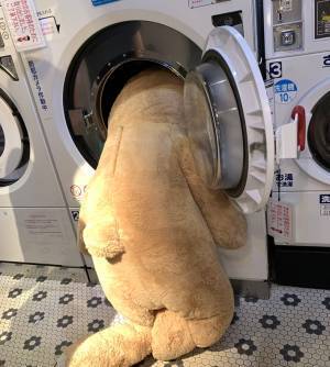 「ぬいぐるみを拾った」という夫からのLINE　妻が迎えに行くと…　「笑った」「素敵な話」