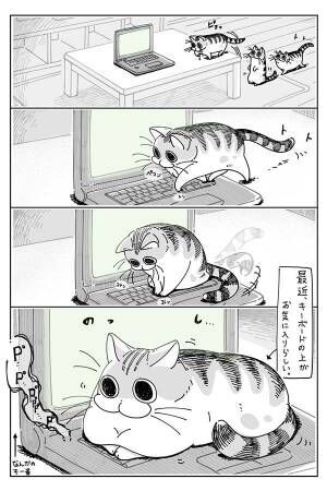パソコンの上を陣取る愛猫　どかした結果に「あるある」「これは愛しい」