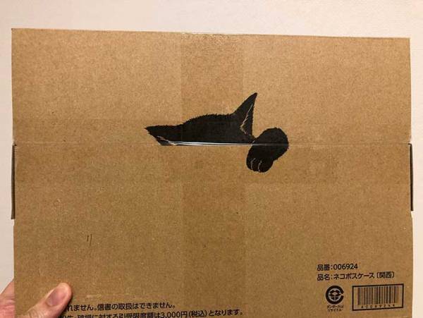 何かのぞいてる…　クロネコヤマトで『小さな荷物』が届いたので、開けてみると？