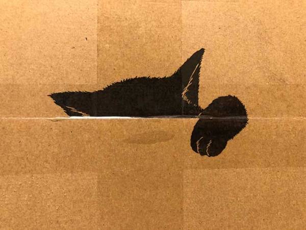 何かのぞいてる…　クロネコヤマトで『小さな荷物』が届いたので、開けてみると？