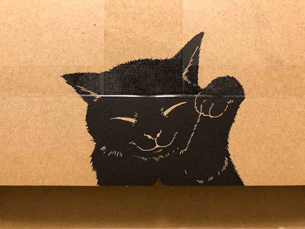 何かのぞいてる…　クロネコヤマトで『小さな荷物』が届いたので、開けてみると？