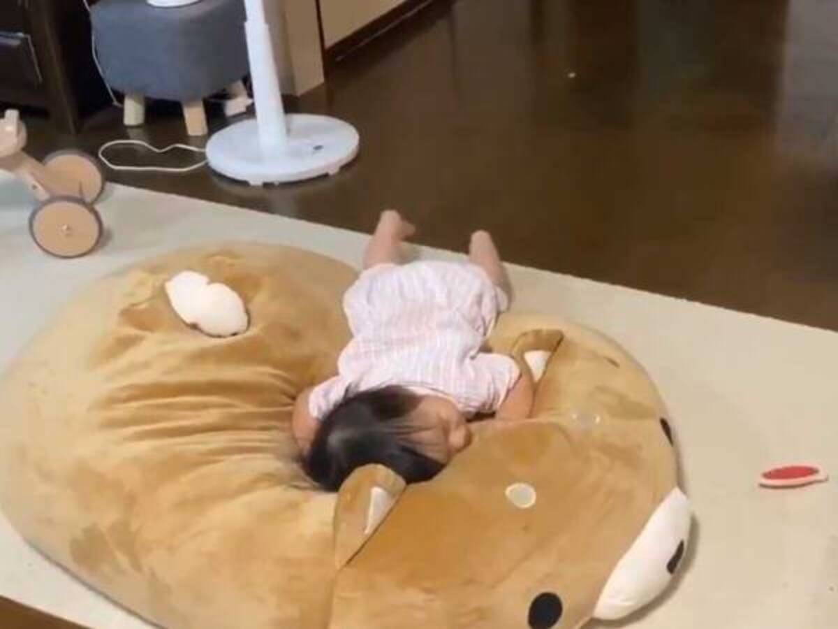 柴犬クッション を巡る攻防 娘さんが全身で楽しんでいると 突然 年8月1日 ウーマンエキサイト 1 2