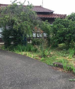 「猫を探せ！」　写真の中に潜む『猫』を探すことに、苦戦する人が続出