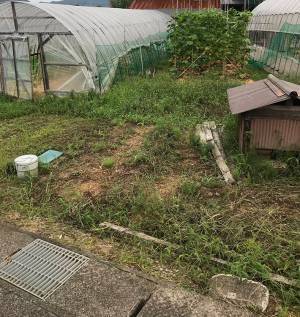 「猫を探せ！」　写真の中に潜む『猫』を探すことに、苦戦する人が続出