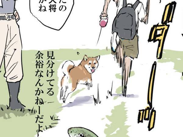 散歩道で出会うとビビる生き物『BEST３』　番外編に吹いた