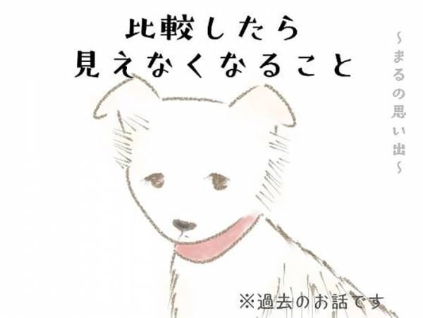 前の飼い主に『バカ』と言われた犬　しかし、引き取ってみると…？