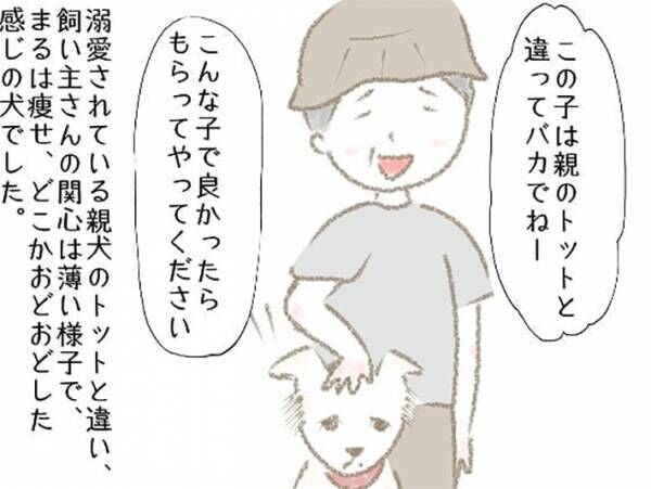 前の飼い主に『バカ』と言われた犬　しかし、引き取ってみると…？