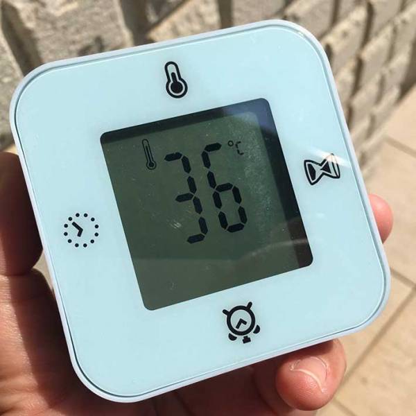 「外は暑いから散歩はまだよ」　そういわれた柴犬の『正直すぎる反応』がこちらです