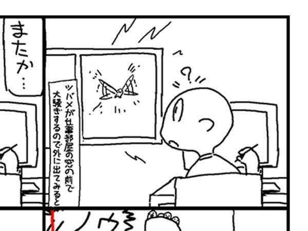 ツバメの巣を外敵から守っていた人間　その結果、思ったことは…