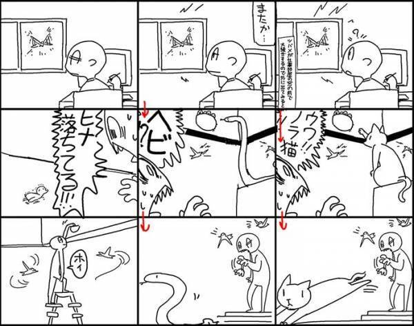 ツバメの巣を外敵から守っていた人間　その結果、思ったことは…