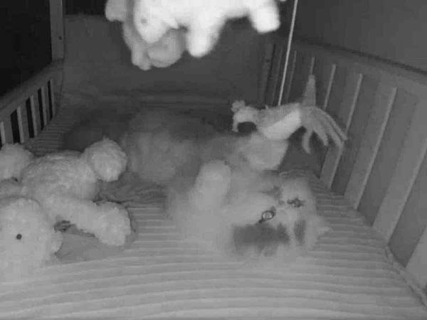 これは怒れない！　赤ちゃんモニターが『異常な動き』を察知した理由に爆笑